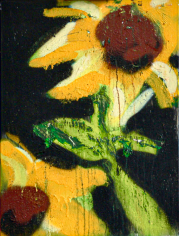 Girasoles en la Iluvia